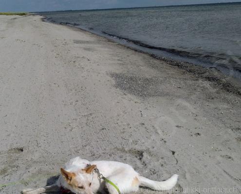 IMG_20190911_174707_resized_20190911_054822284