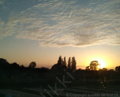 IMG_20190912_192421_resized_20190912_074407888