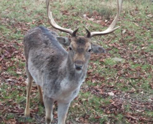 IMG_20191206_125840_resized_20191207_102413194