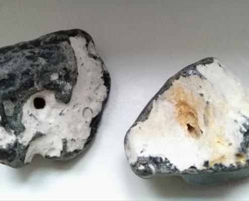 IMG_20191212_104701_resized_20191212_104824690