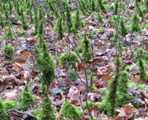 IMG_20200124_123113 (2)