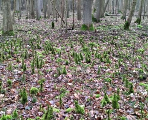 IMG_20200124_123136 (2)