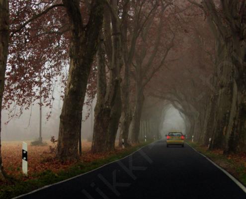 SAMSUNG DIGITAL CAMERA