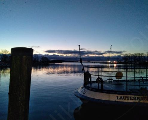 IMG_20200205_071528_BURST001_COVER