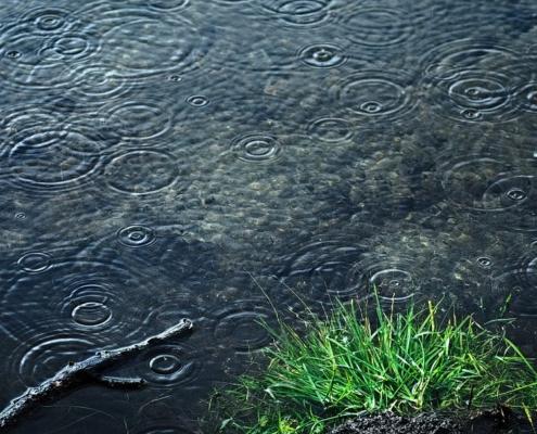 Waldbaden-im-Regen-1080x608