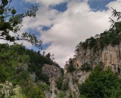 IMG_20210729_131412_HDR