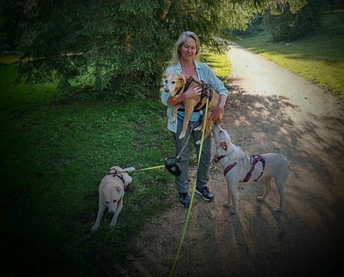 IMG_20210729_183121_HDR~2