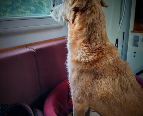 IMG_20210729_204254_HDR~2