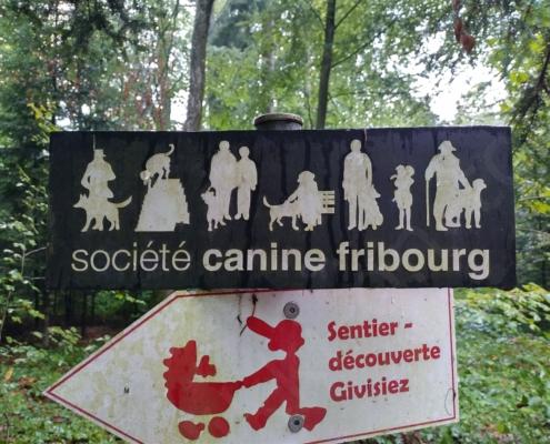 IMG_20210730_184812_HDR