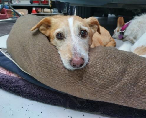 IMG_20210925_174718_HDR