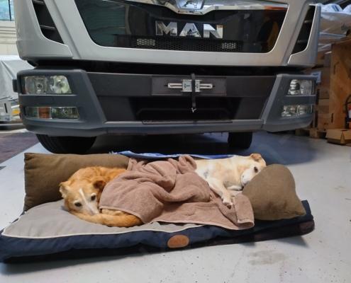 IMG_20211007_080456_HDR