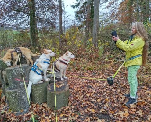 IMG_20211115_115329_HDR