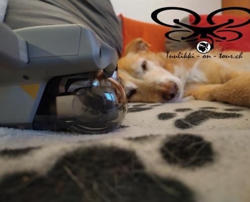 IMG_20211125_085314_HDR