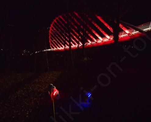 IMG_20211208_060717_HDR~2