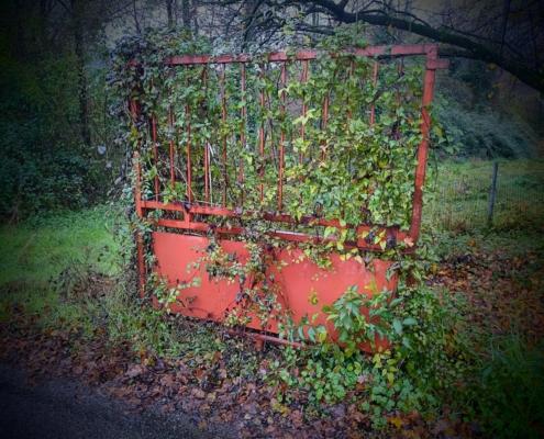 IMG_20211208_145729_HDR~2