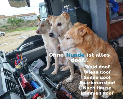 IMG_20211210_091656_HDR - Kopie