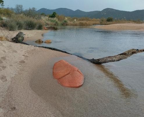 IMG_20211210_125905_HDR