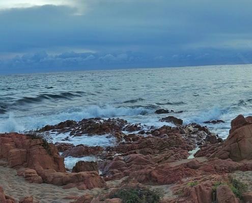 IMG_20211211_073932 - Kopie