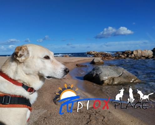 IMG_20211211_131117_HDR - Kopie