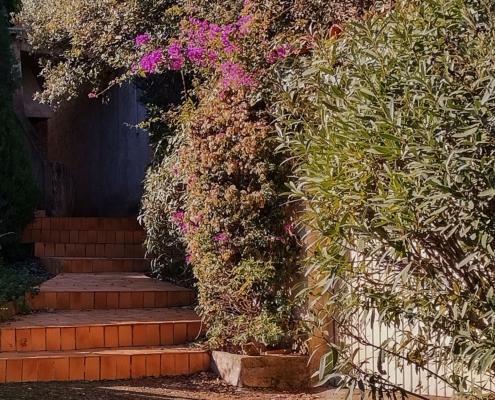 IMG_20211212_121409_HDR