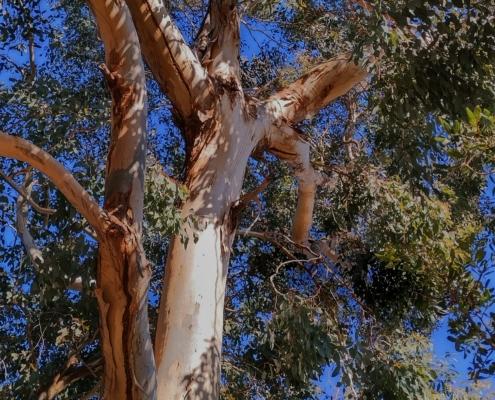 IMG_20211212_124602_HDR