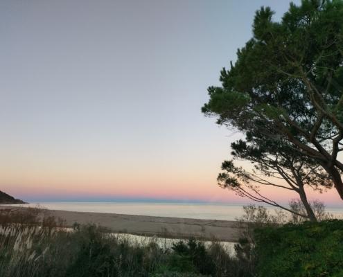 IMG_20211213_164904_HDR