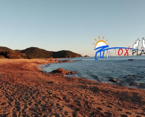 IMG_20211214_080746 - Kopie