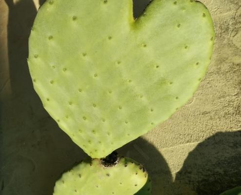 IMG_20211215_100437_HDR