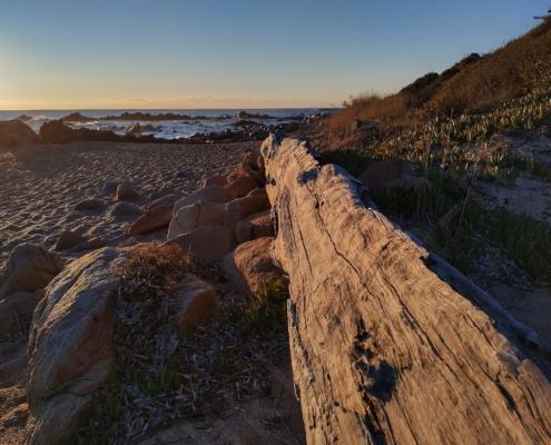 IMG_20211217_081356_HDR