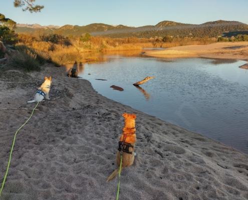 IMG_20211219_082019_HDR