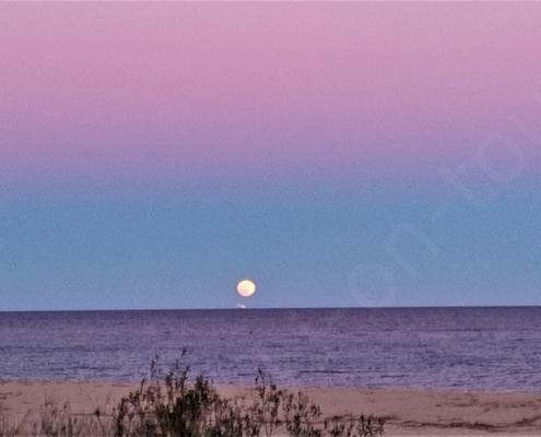 IMG_20211219_170505_HDR