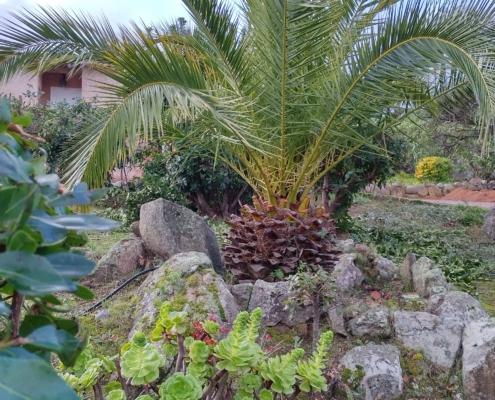 IMG_20211226_085017_HDR