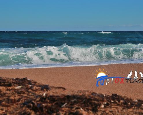 D32P1412 - Kopie - Kopie