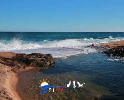 D32P1418 - Kopie - Kopie