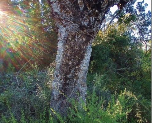 IMG_20211213_143253_HDR