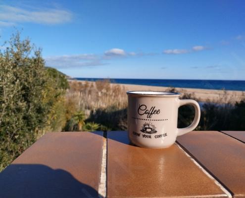 IMG_20211216_115941_HDR