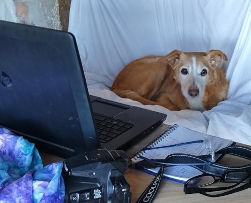 IMG_20211220_100059_HDR - Kopie