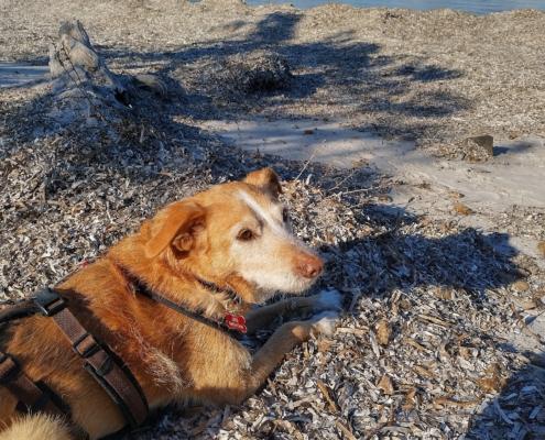 IMG_20211220_132222_HDR