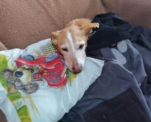 IMG_20211223_093932_HDR