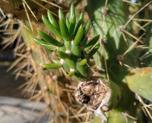 IMG_20211224_101800_HDR