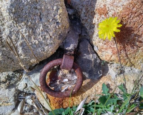 IMG_20211225_124200_HDR