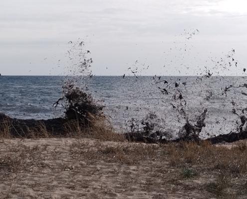 IMG_20211225_130544_HDR