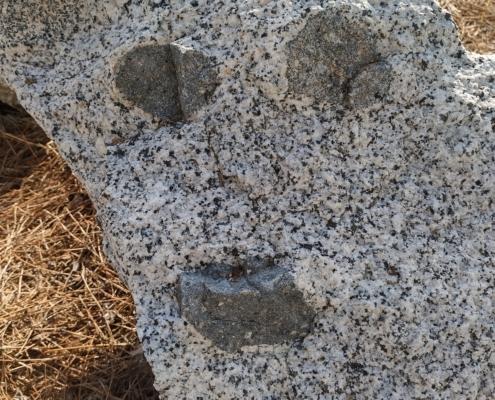 IMG_20211225_131841_HDR