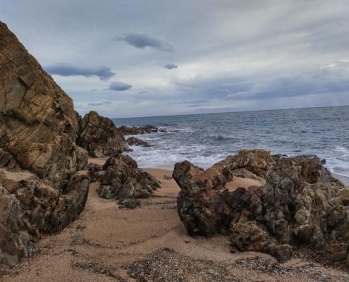 IMG_20211226_125516_HDR