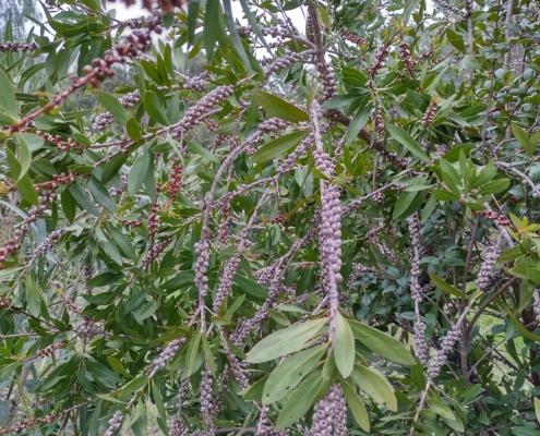 IMG_20211227_125927_HDR