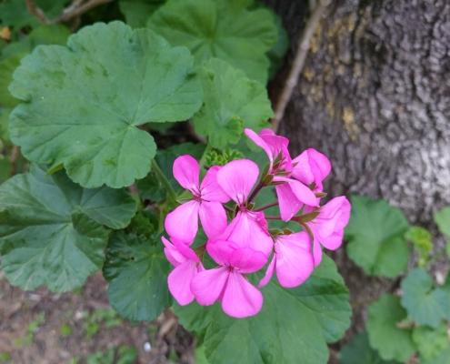 IMG_20211227_140105_HDR