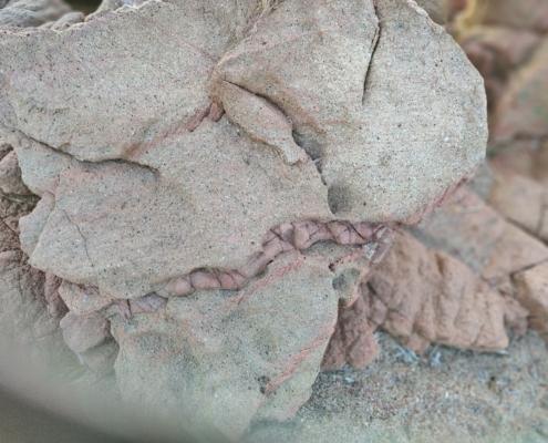 IMG_20211229_081318_HDR