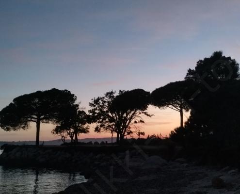 IMG_20211230_173052_HDR