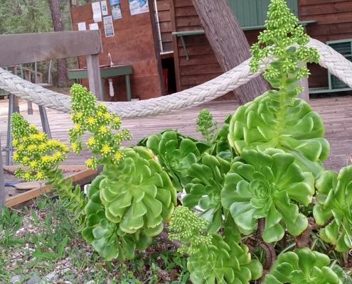 IMG_20220101_121444_HDR