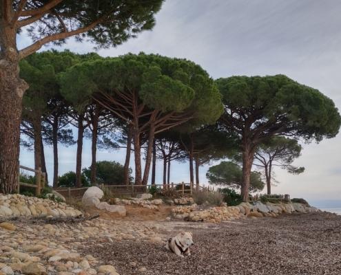 IMG_20220103_122656_HDR